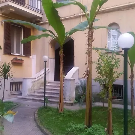 Acios *